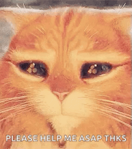 Puss In Boots Cat GIF