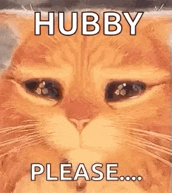Puss In Boots Cat GIF