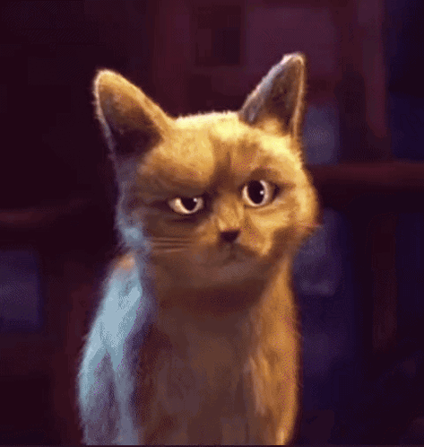 Puss In Boots Cat GIF