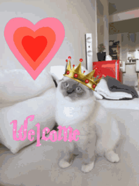 Pussy Cat GIF