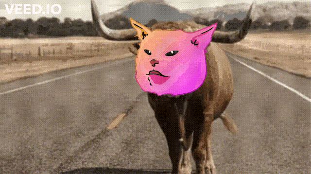 Pussy Financial Pussy GIF