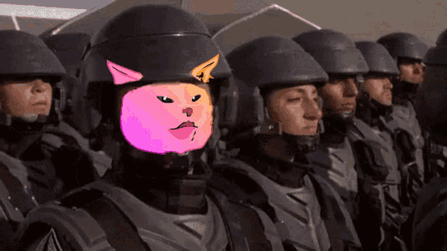 Pussy Im Doing My Part GIF