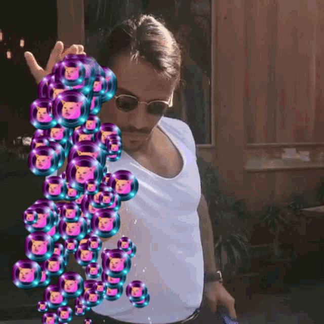 Pussy Pussy Financial GIF