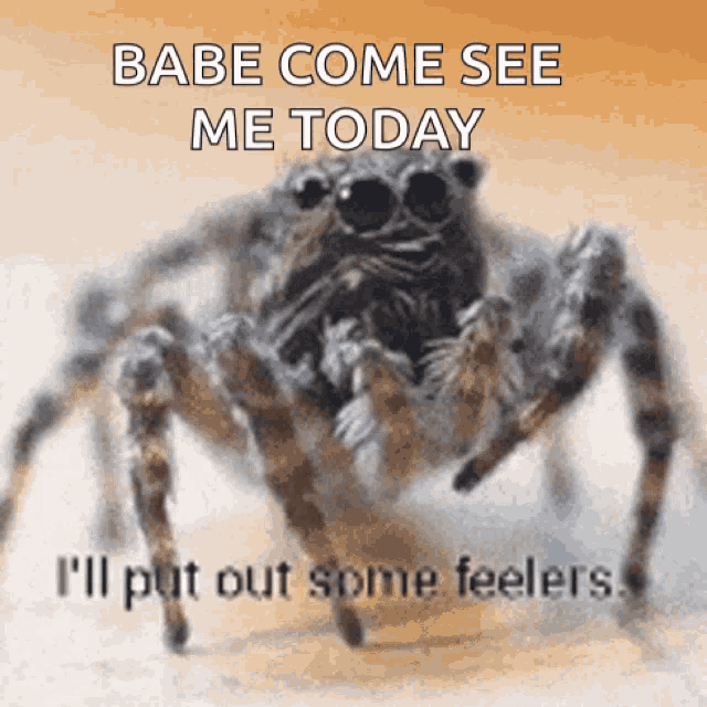 Put Out GIF