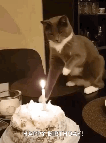 Put Out The Candle Put It Out GIF