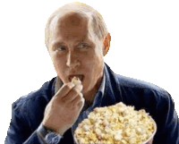 Putin Vladimir Putin Sticker