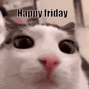 Pyvar Couchu1 GIF
