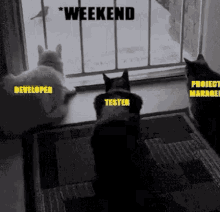 Qa Meme GIF. This 220 x 212 animated GIF is part of our soy programador collection. Related themes include meme. Created by FASDSA. View the original…