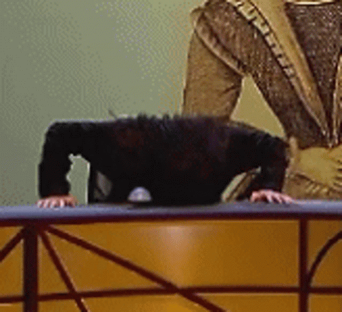 Qi Bang Head On Desk GIF