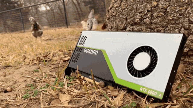 Quadro Cock GIF