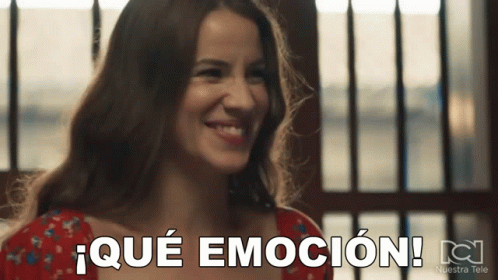 Que Emocion Gaviota GIF