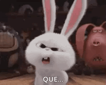Que What GIF