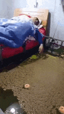 Queirozvict GIF