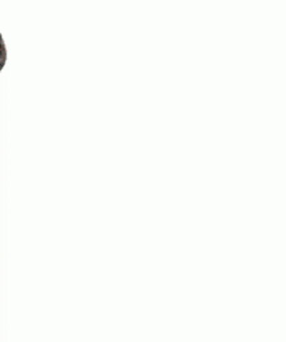 Question GIF