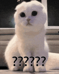 Question Mark Cat GIF