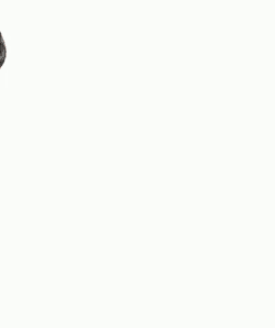 Questioning I Have A Question For You GIF