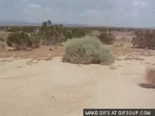 Quiet Desert GIF