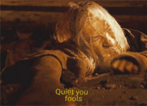 Quiet You Fools Lotr GIF. This 498 x 361 animated GIF is part of our fuyez pauvres fous collection. Created by bensid12. View the original animation, share…