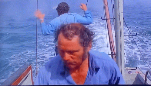 Quint Jaws GIF