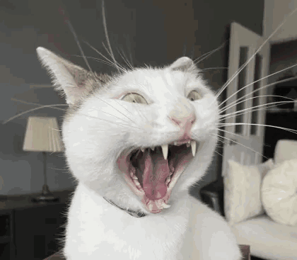 Raaa Scream GIF