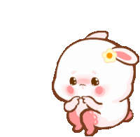 Rabbit Bunny Sticker