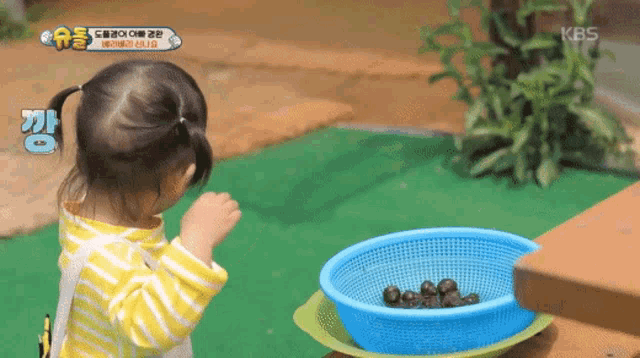 Rabbit Bunny GIF