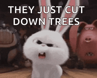 Rabbit Confused GIF