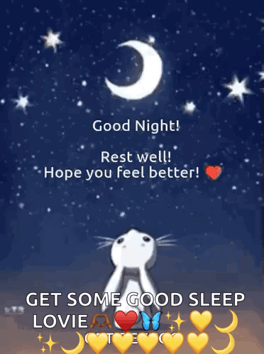 Rabbit Good Night GIF