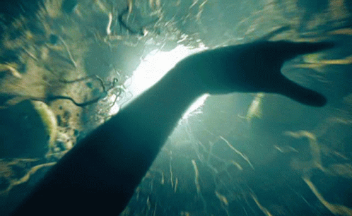 Rabbit Hole Mjc GIF. This 498 x 306 animated GIF is part of our sinkhole collection. Created by MikeChiasson. View the original animation, share it, or…