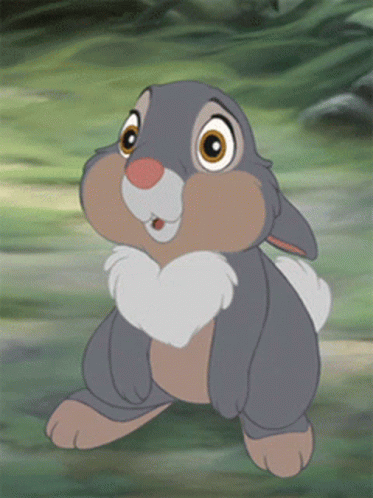 Rabbit Lives GIF. This 373 x 498 animated GIF is part of our tambor bambi collection. Related themes include blinking, cute, rabbit. Created by…