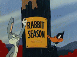 Rabbit Season, Duck Season GIF