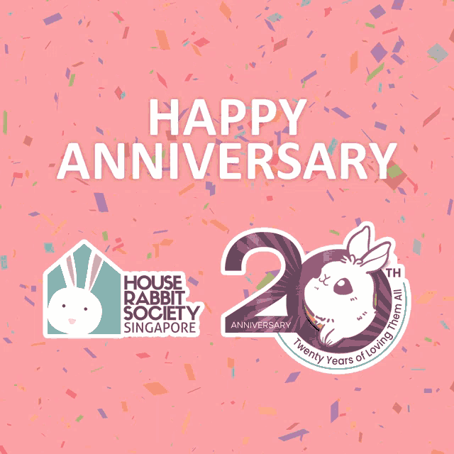 Rabbits Bunnies GIF