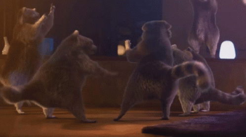 Raccoon Dancing GIF