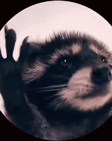 Raccoon Rave GIF