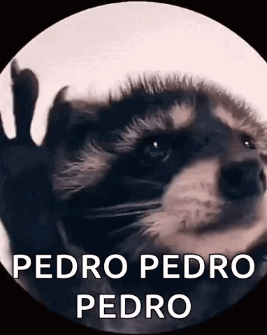 Raccoon Rave GIF