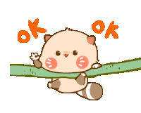 Raccoon Sticker Ok Sticker Sticker