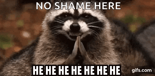 Raccoon Weird GIF