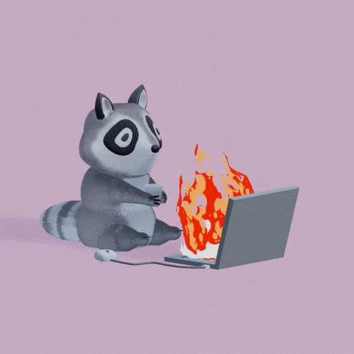 Racoon Computer On Fire GIF