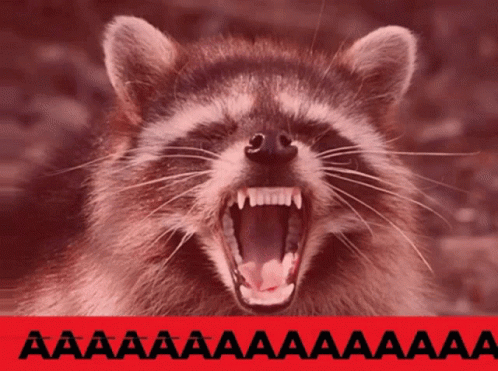 Racoon Screaming GIF. This 498 x 371 animated GIF is part of our rage collection. Related themes include racoon, screaming. Created by LucyWarriorcat. View…