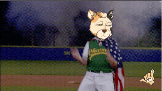 Radcats Suck It GIF