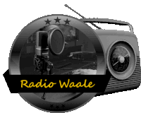 Radio Waale Gaming Sticker