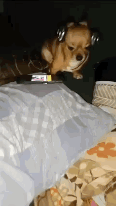 Radiohead Dog GIF