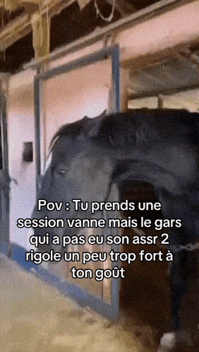 Rafon GIF