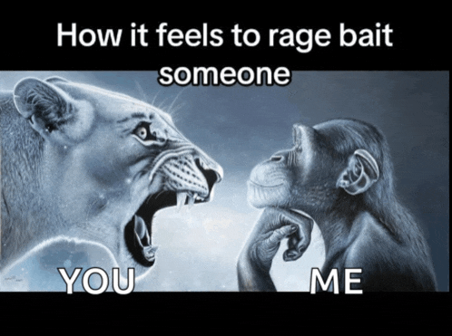 Rage Ragebait Meme