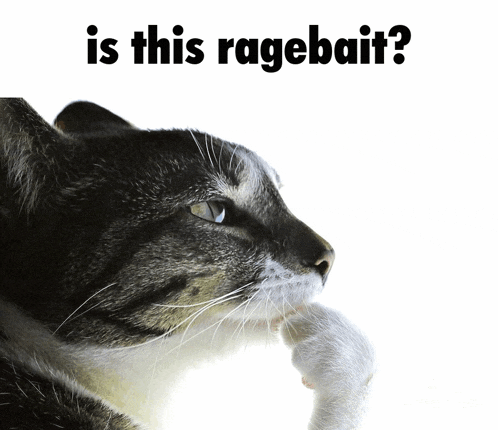 Ragebait Cat Meme