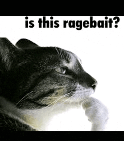 Ragebait Meme