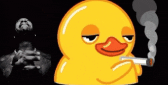 Rags Duck GIF