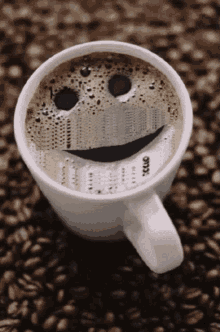 Raiders Raiders Win GIF