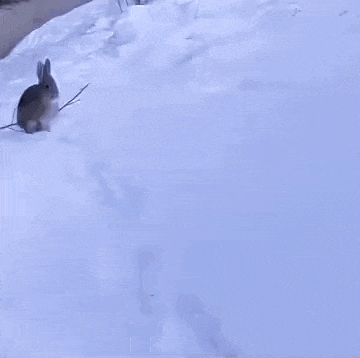 Railway Tamping Machine Thumper GIF