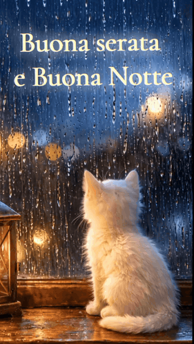 Rain Bonne Nuit GIF